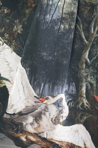 Rêves au bord de l'eau