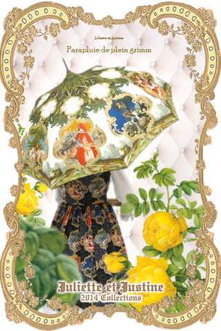 -Parapluie de plein grimm (Umbrella)-